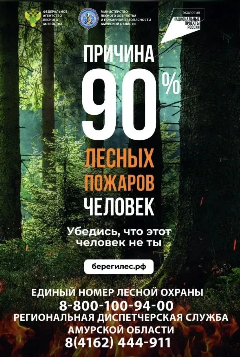 🍂 Золотая осень — время красивых прогулок, но и пора повышенной пожарной опасности. Су...