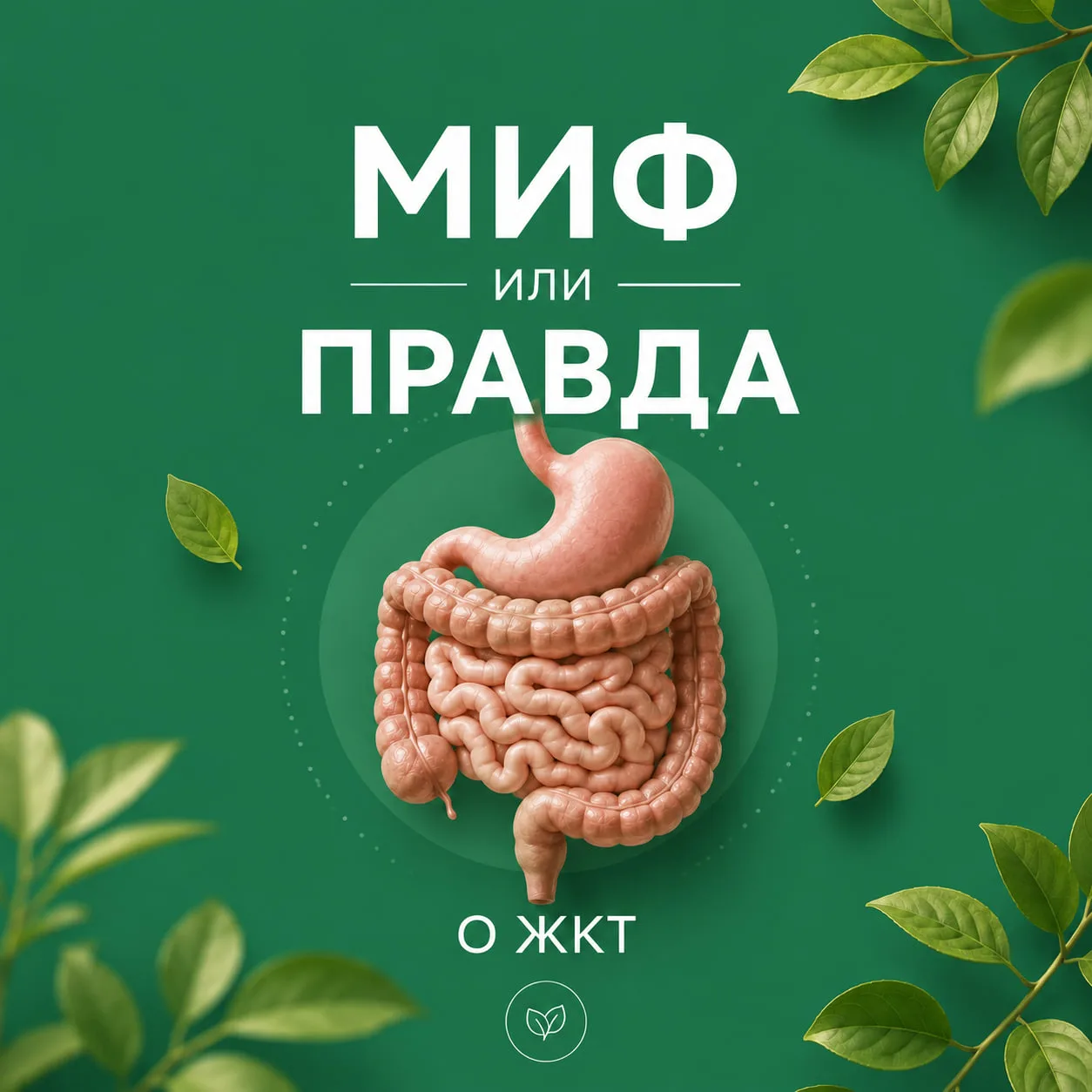 Даже те, кто “следит за питанием”, часто не знают этого о ЖКТ!