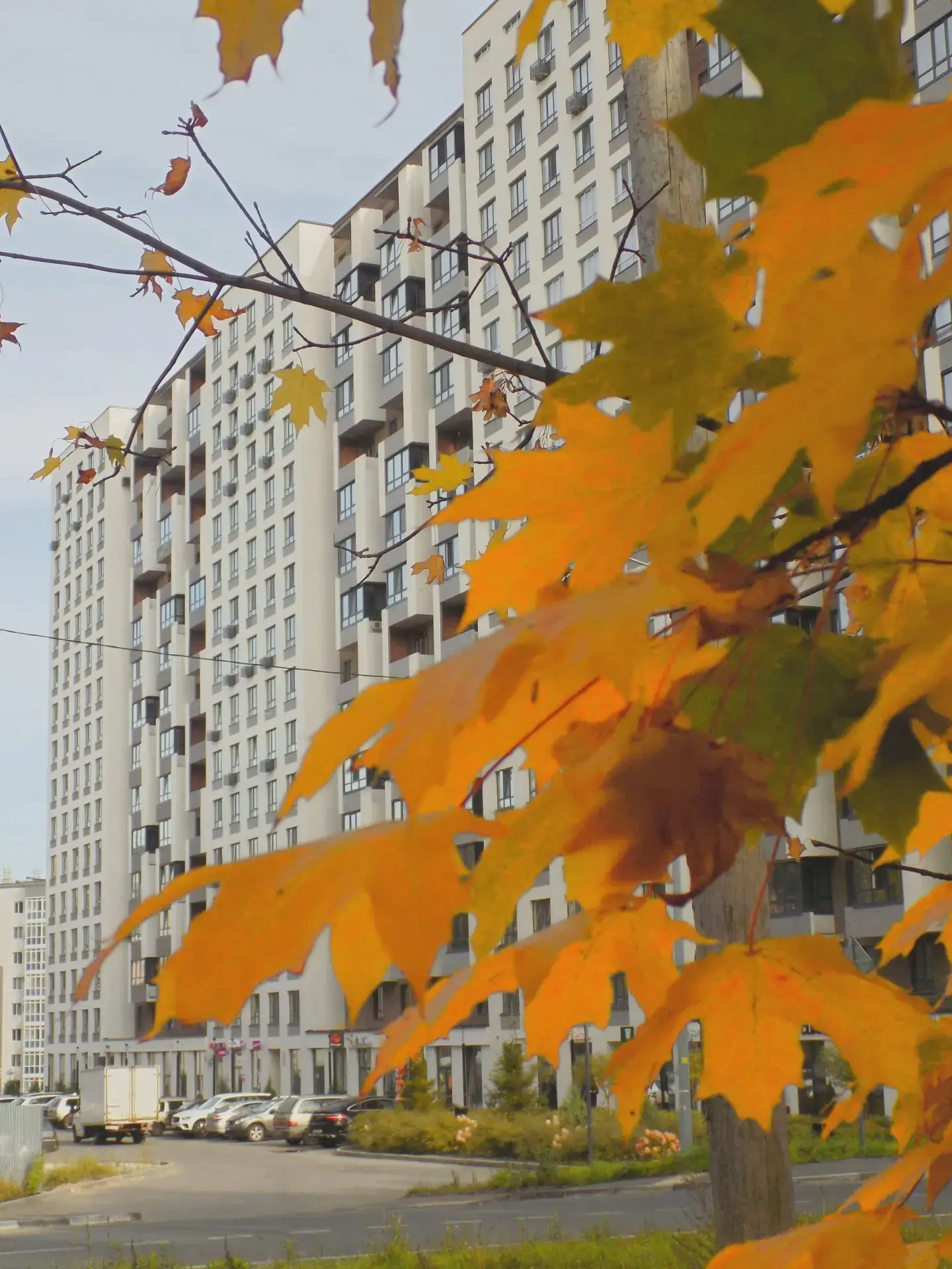 🍂 Золотая осень шагает по тропинкам