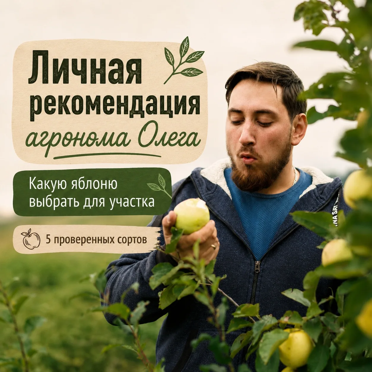 Яблоня, ради которой на дачу приезжают с корзиной 🍎