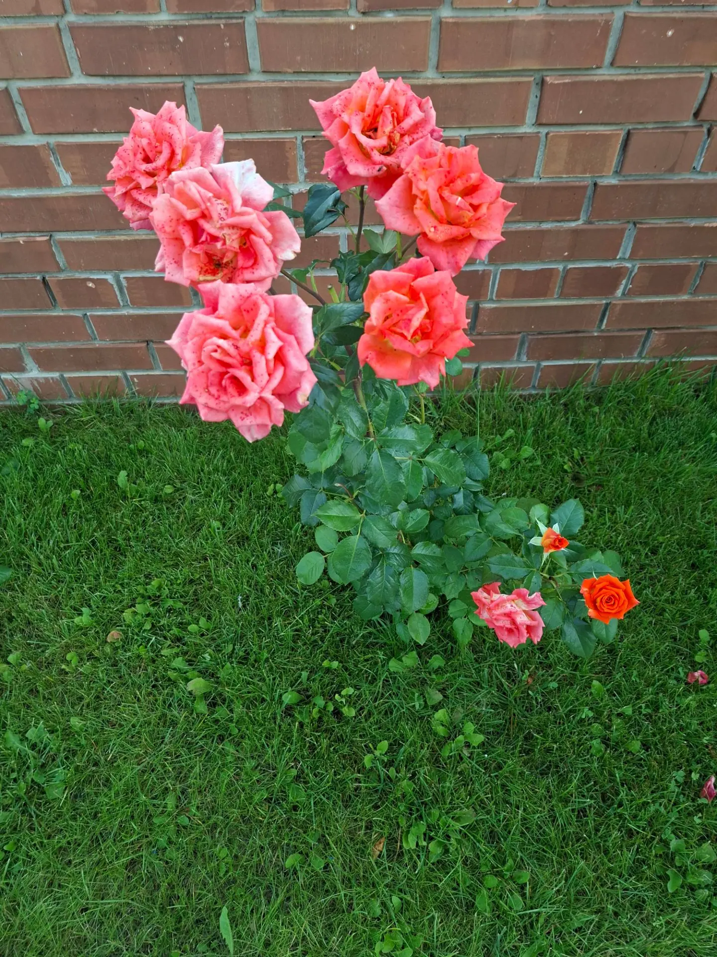 С новым днем! ☀Пусть ваши помыслы будут чисты, а дела благословенны!🕊