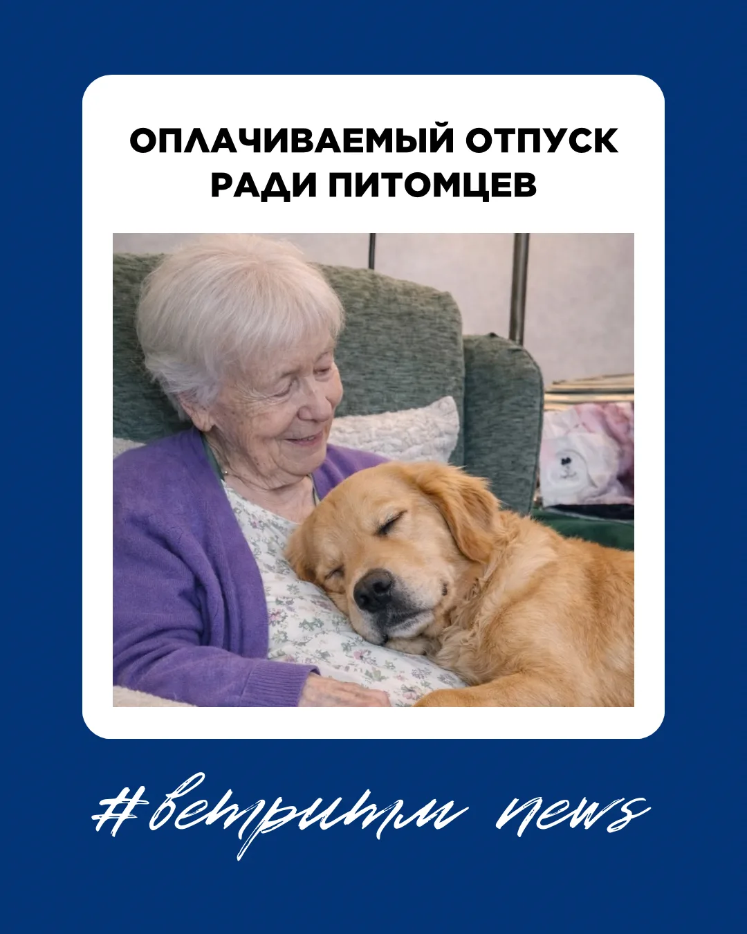 🐾 ВЕТРИТМ | Новости из мира животных