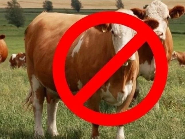 БЕЗНАДЗОРНЫЙ ВЫГУЛ СКОТА🐄

✅ Домашний скот должен содержаться в пределах земельного участка собстве
