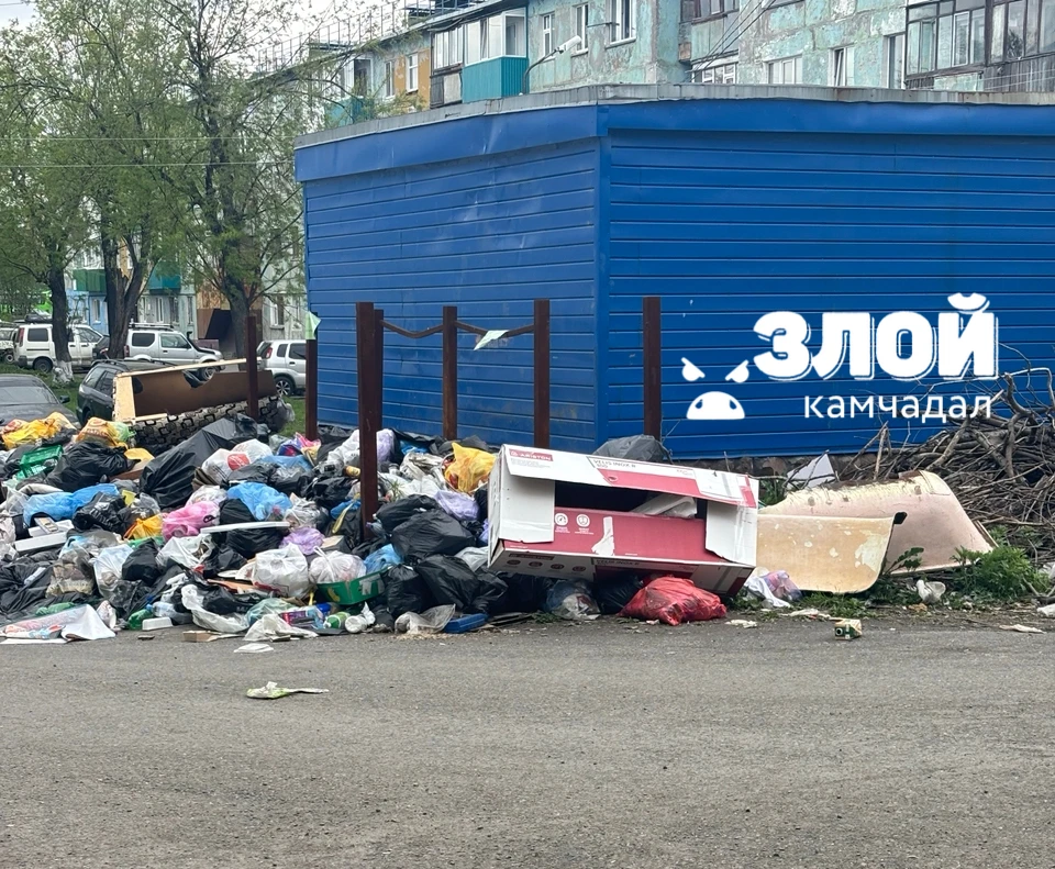 #нампишут
"Звонили, писали - ни одна организация не отреагировала🤦‍♀️ на этот передел с мусором.

�
