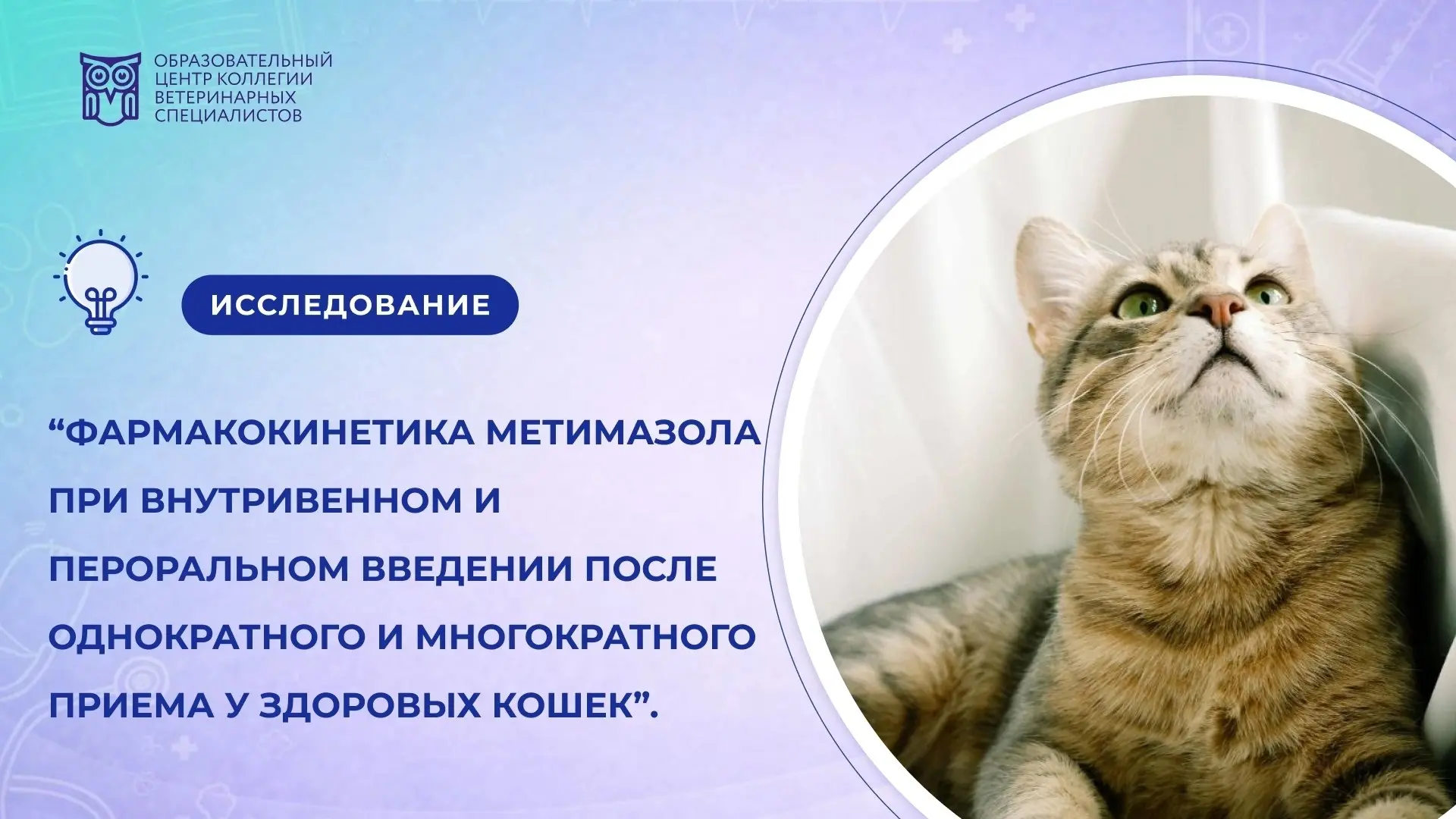 Фармакокинетика метимазола при внутривенном и пероральном введении после однократного и многократног