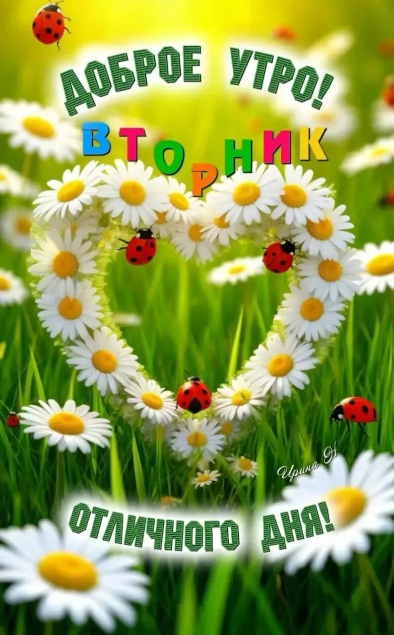 Начни свой день с добра и с позитива,
