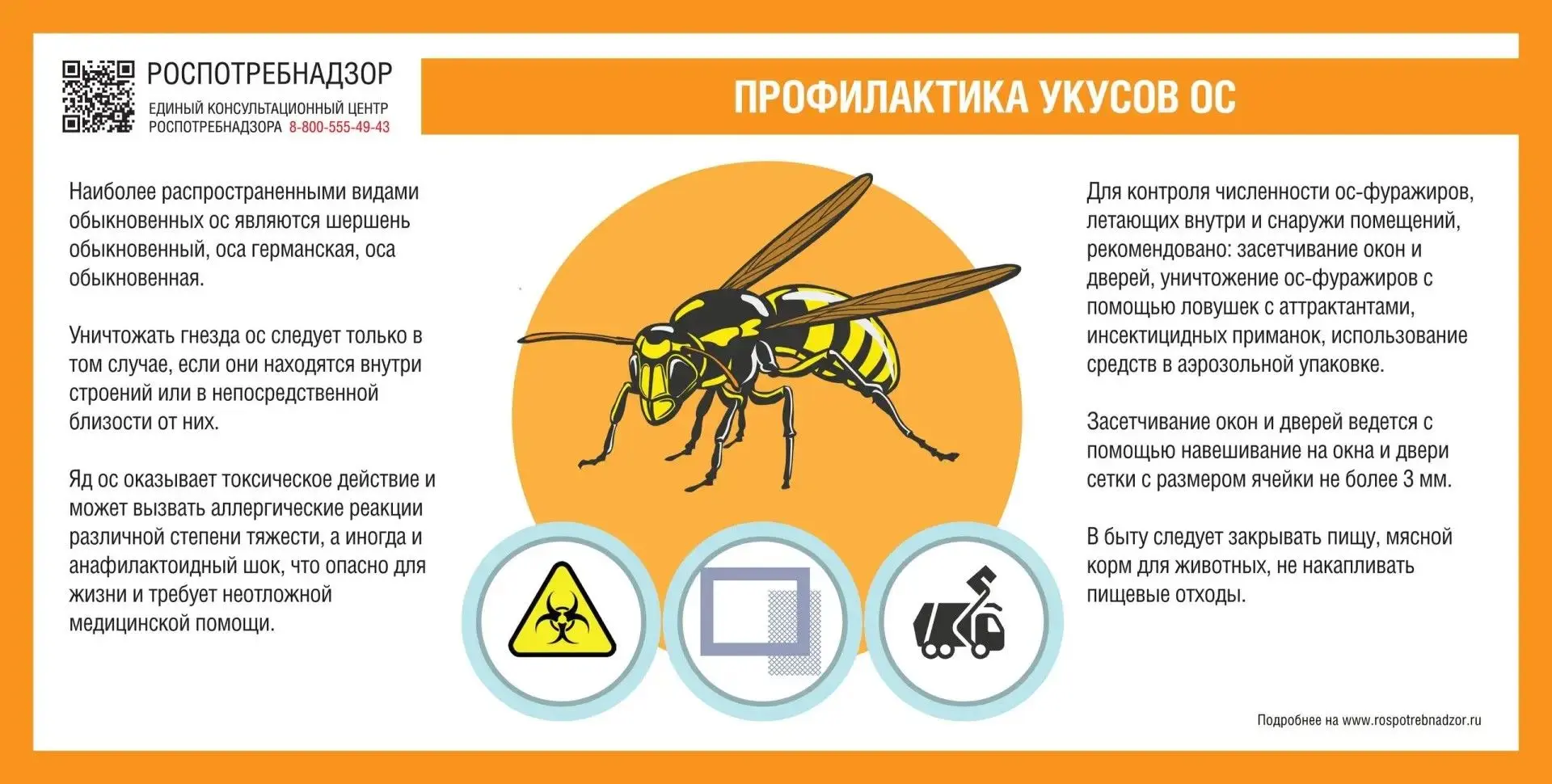 Наступило лето! Как сохранить здоровье детей во время летнего отдыха.  #образованиеГуково