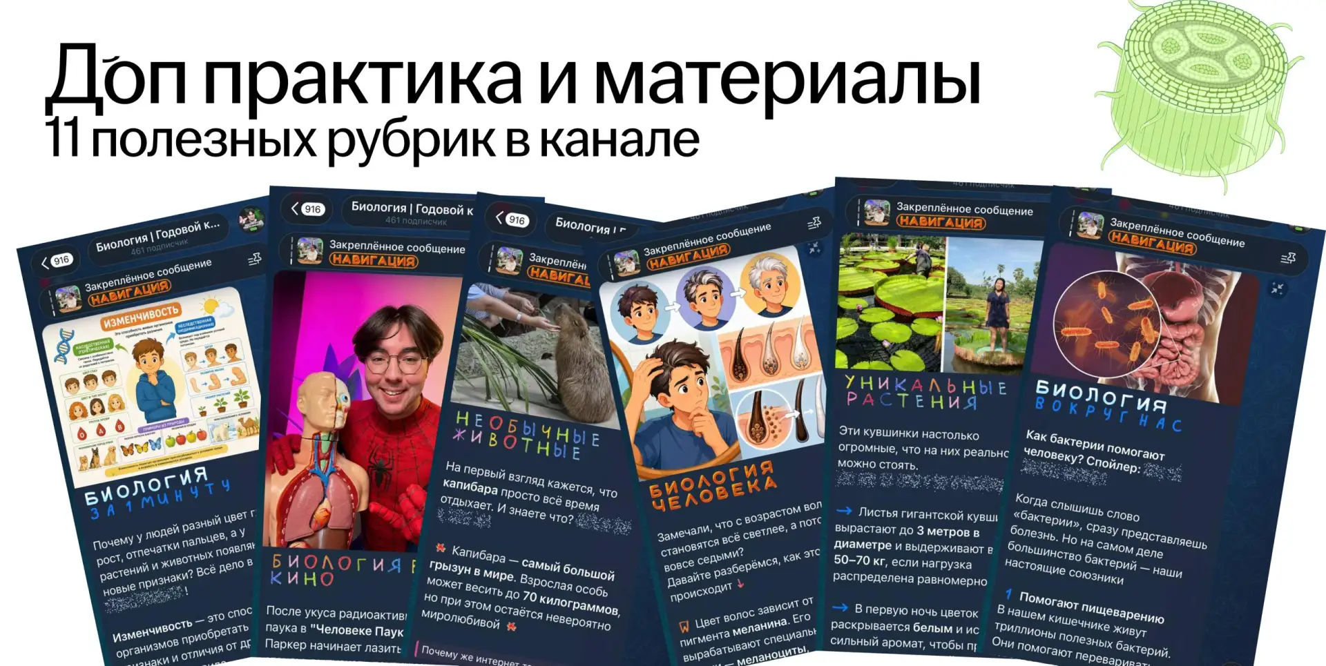 Ищу потеряшек с курса, смотрите, как прикольно в закрытом канале 🤩

Если вы записались на курс, но 