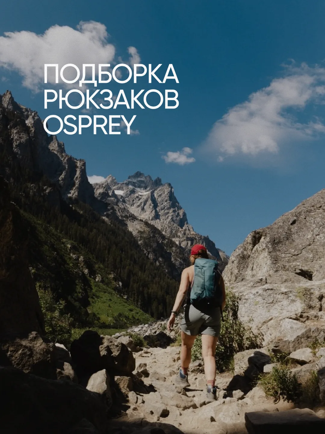 Почему рюкзаки Osprey выбирают снова и снова?

Реальные отзывы покупателей - лучший ответ на этот во