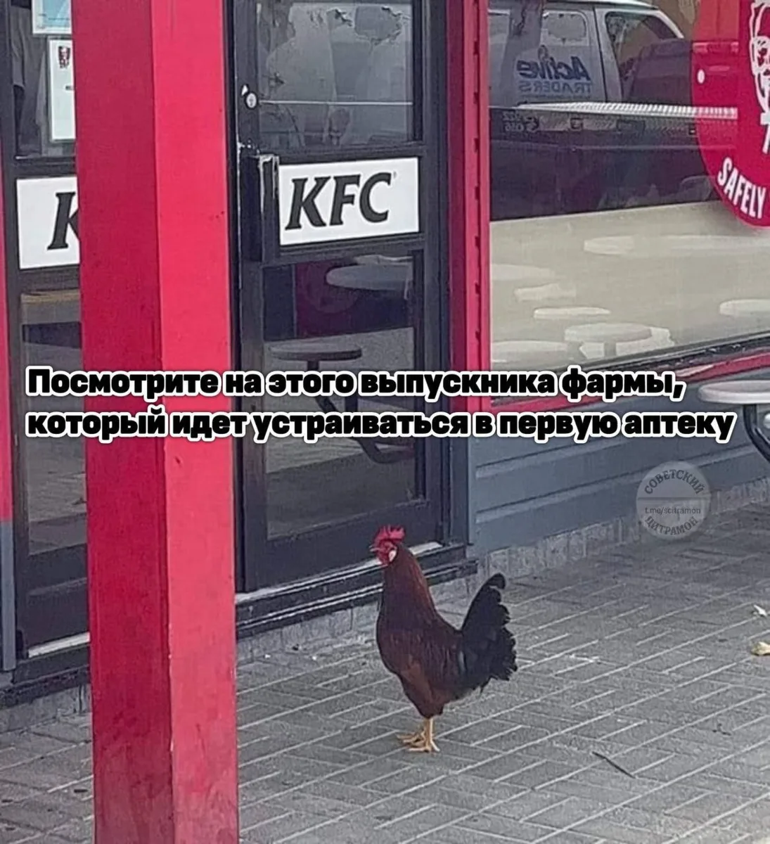 Цитрамон. Подписаться