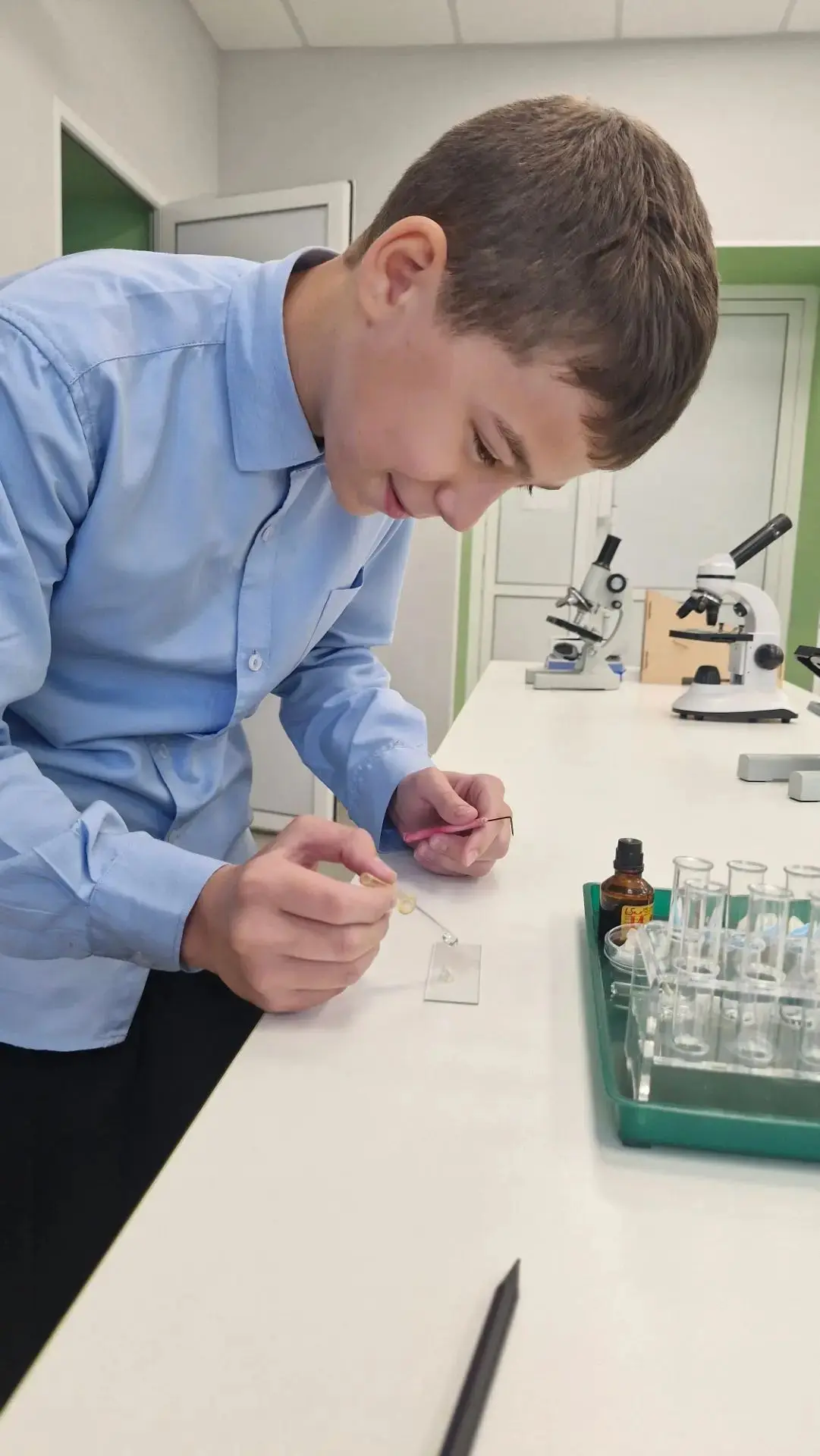 🧅🔬 Секреты обычного лука: как шестиклассники открывали микромир!