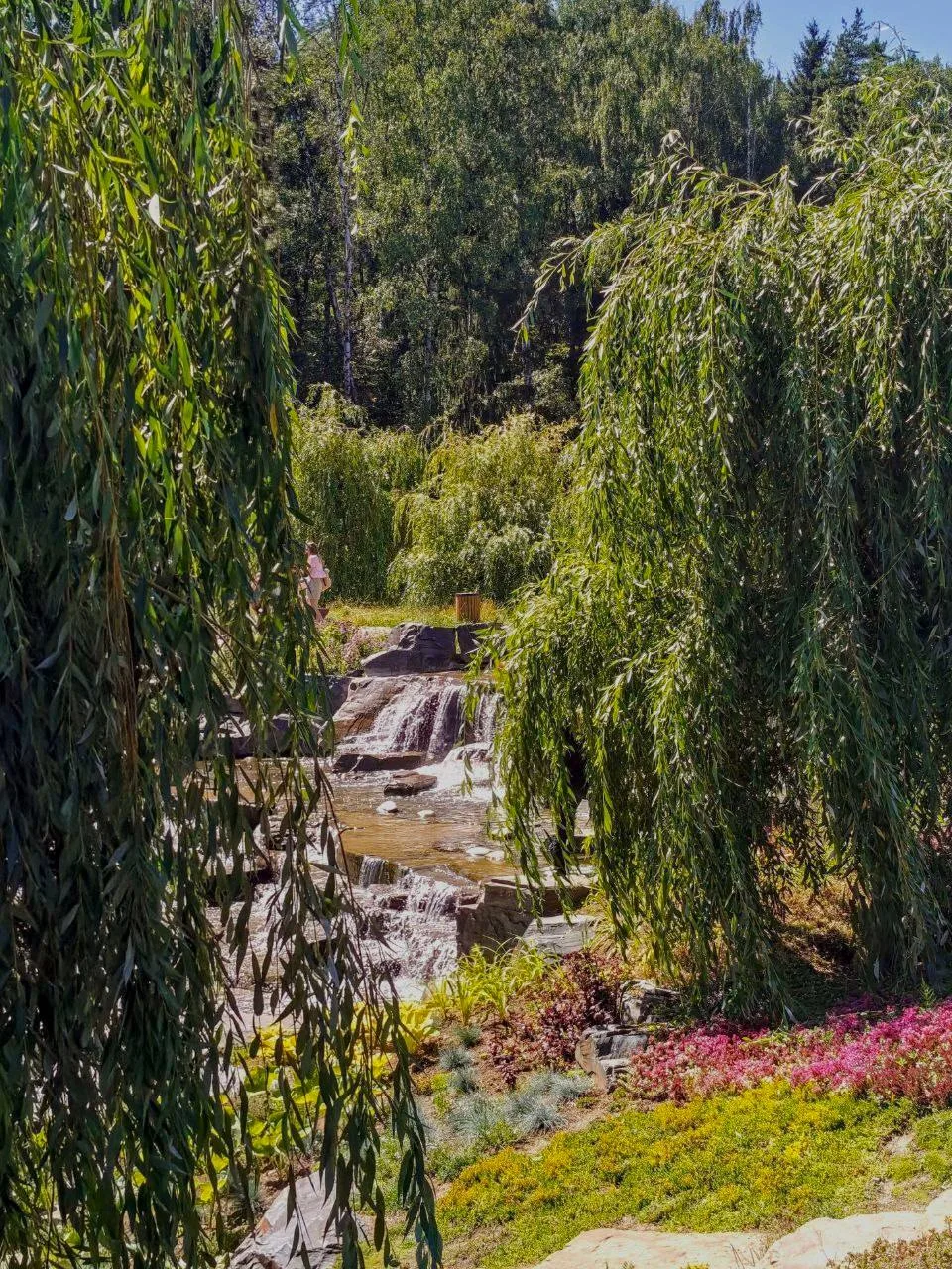 Лесопарк «Ближняя Дача» 🌸