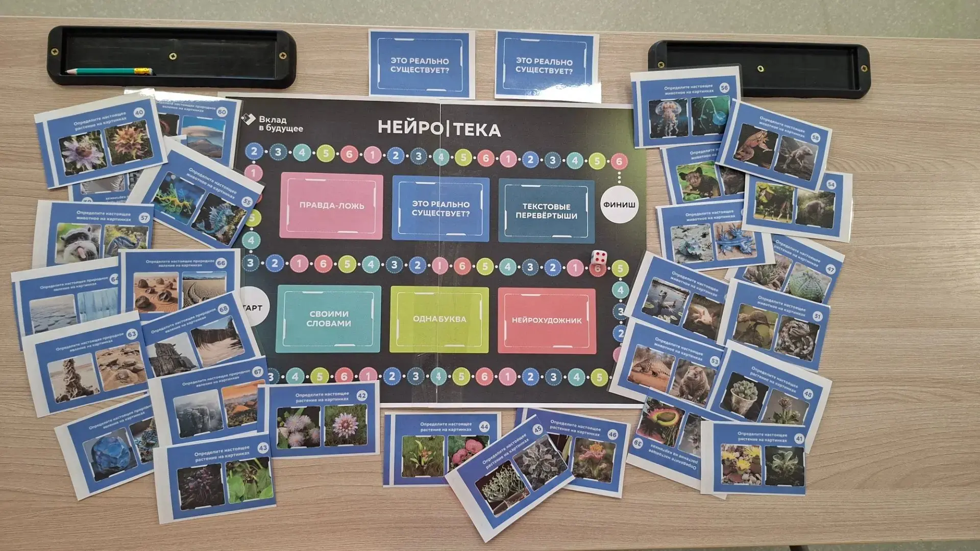 🚀 «День цифры» в ЛОЛ «Солнышко»: неделя технологий и побед!

С 11 по 15 июня в нашем лагере прошла 