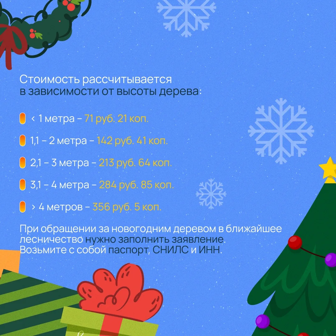 🎄 Где и когда самостоятельно заготовить новогоднюю ель?

В Свердловской области это можно будет сде