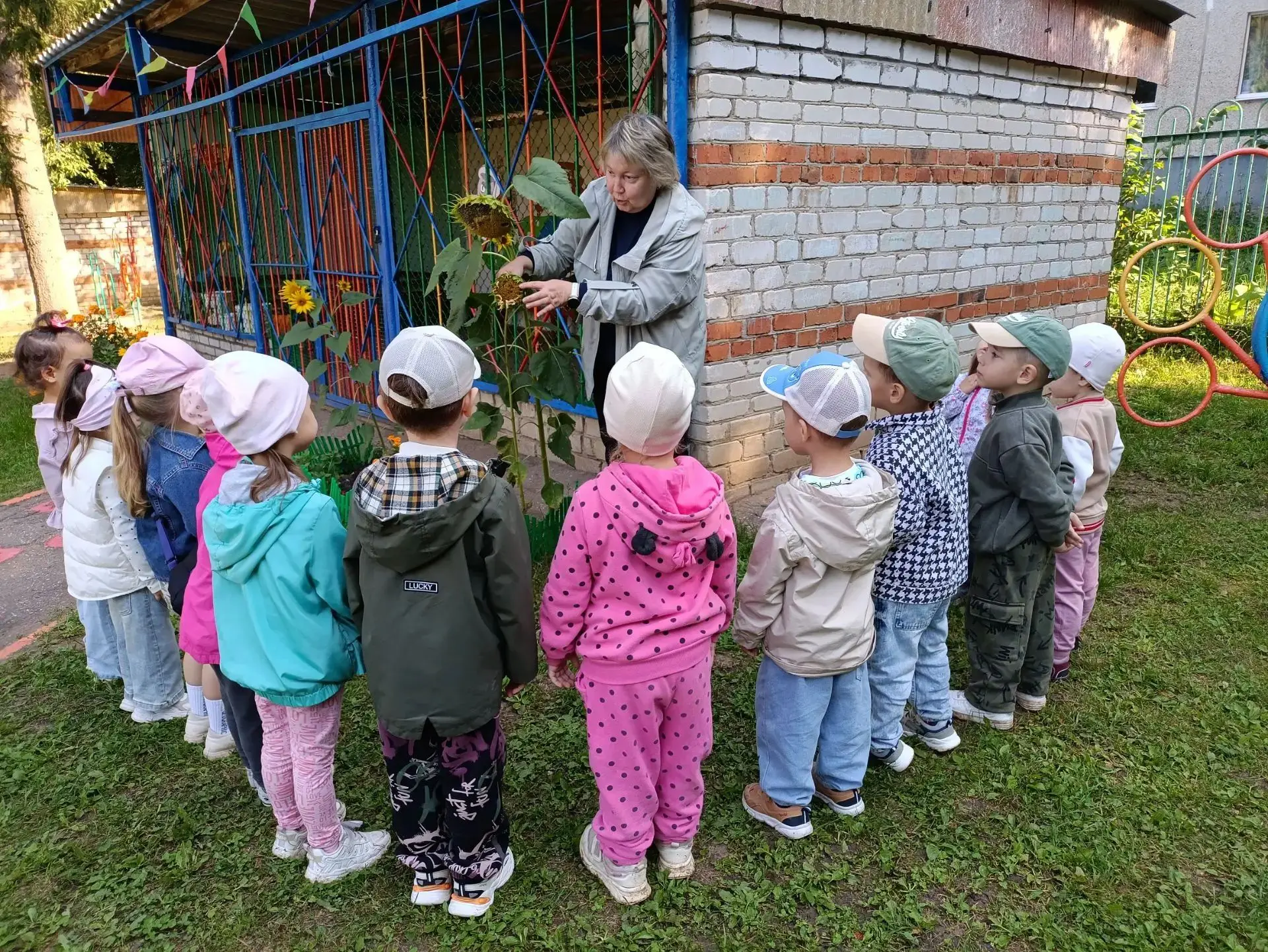 От зелёного ростка до золотой корзинки»: юные исследователи из средней группы встретили...