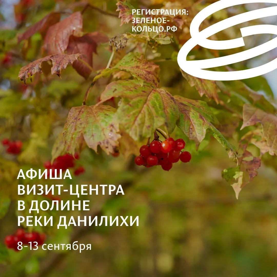 БЕСПЛАТНО