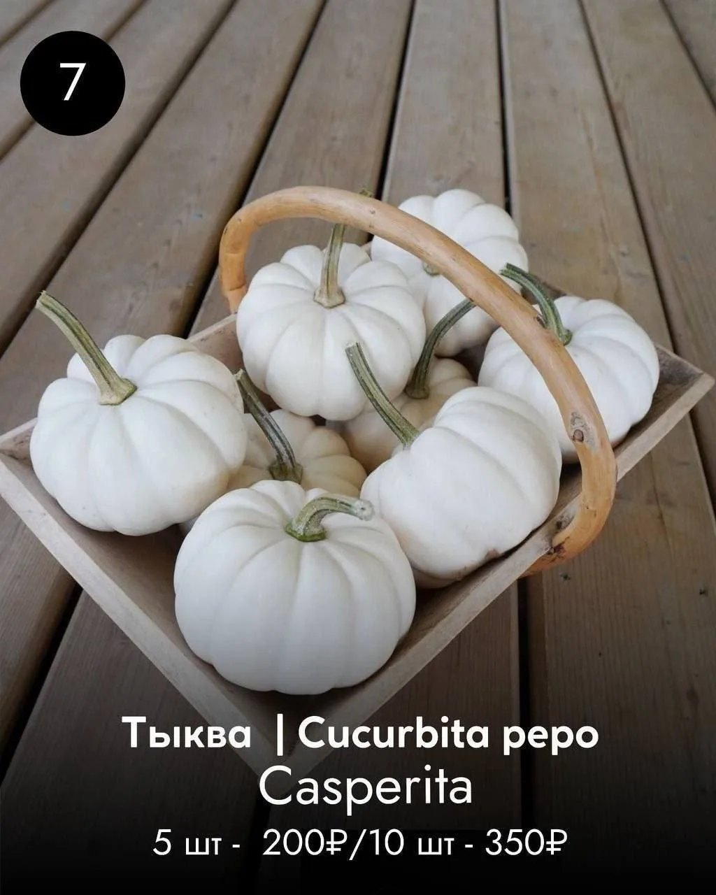 ТЫКВА
Все представленные тыквы съедобны. 
Коме этого, используются во флористике, декоре, оформлении