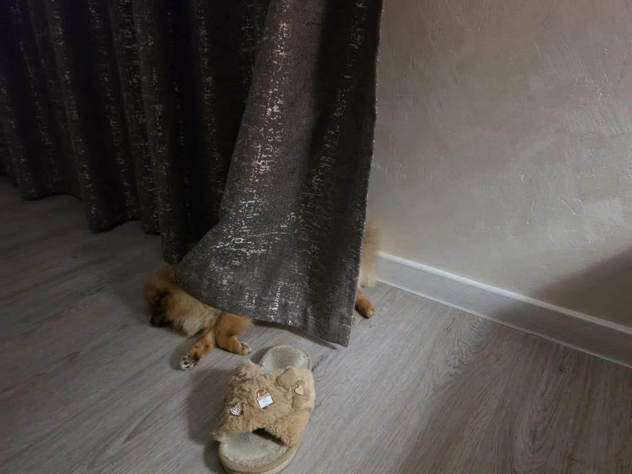 Спим 🤩