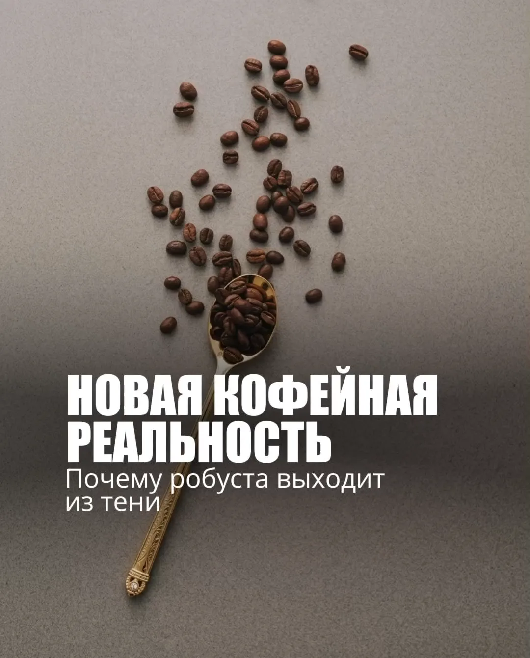 Новая кофейная реальность: почему робуста выходит из тени ☕️🌿