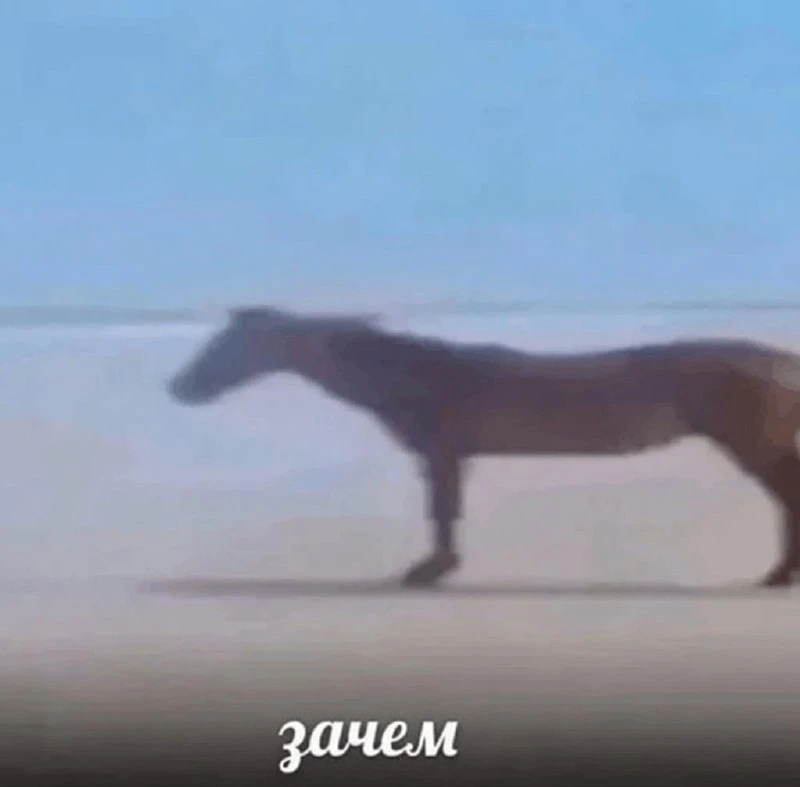Школьник, набравший на ЕГЭ по математике 99 баллов, решил пересдать экзамен. Парень из Москвы считае