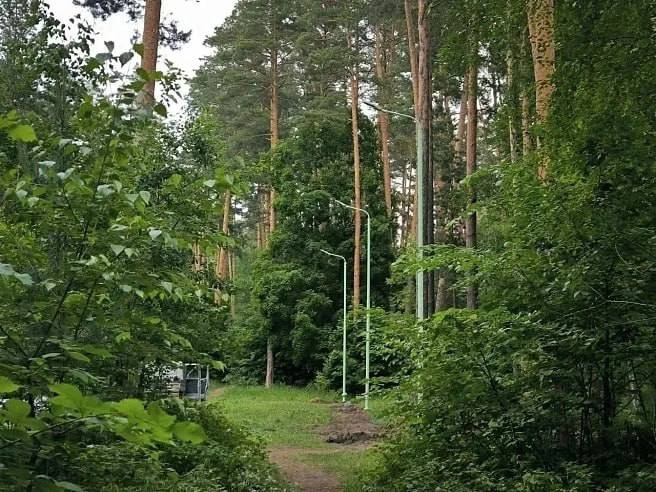🌲 В Петровске преобразился лесопарк «Сосны»!