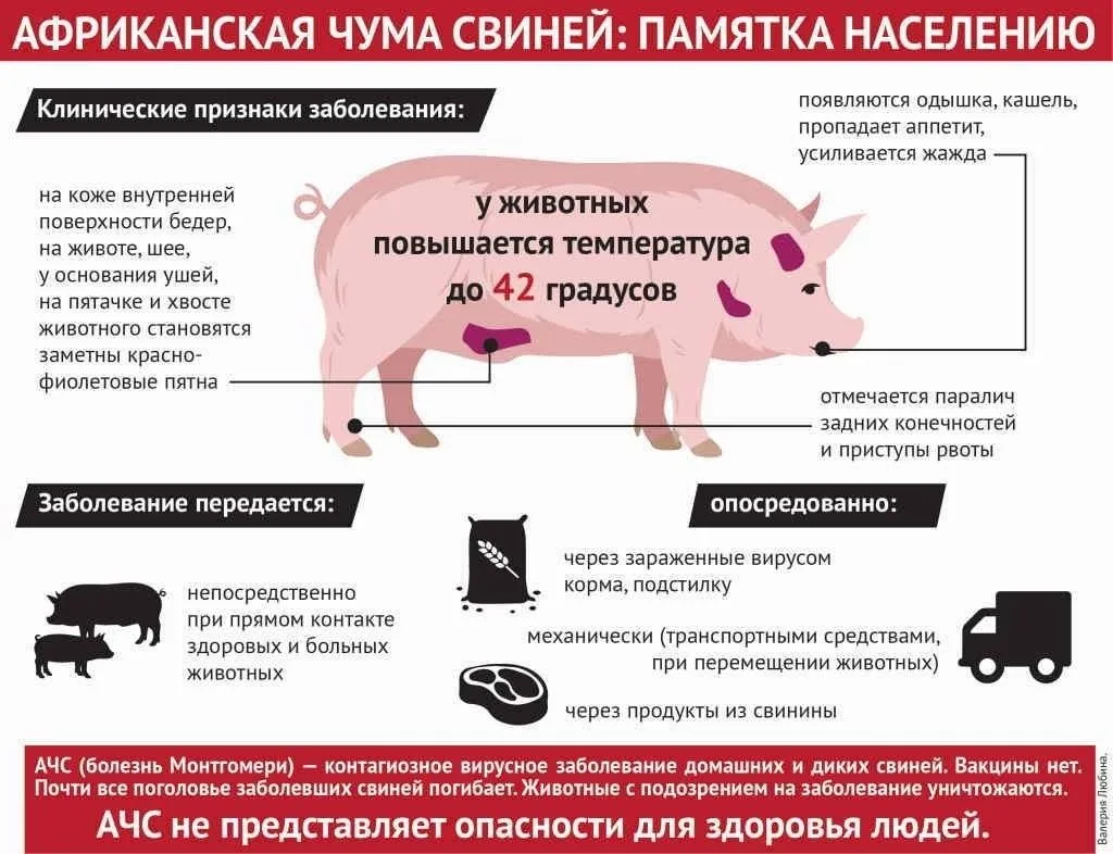 ПРОФИЛАКТИКА АЧС.