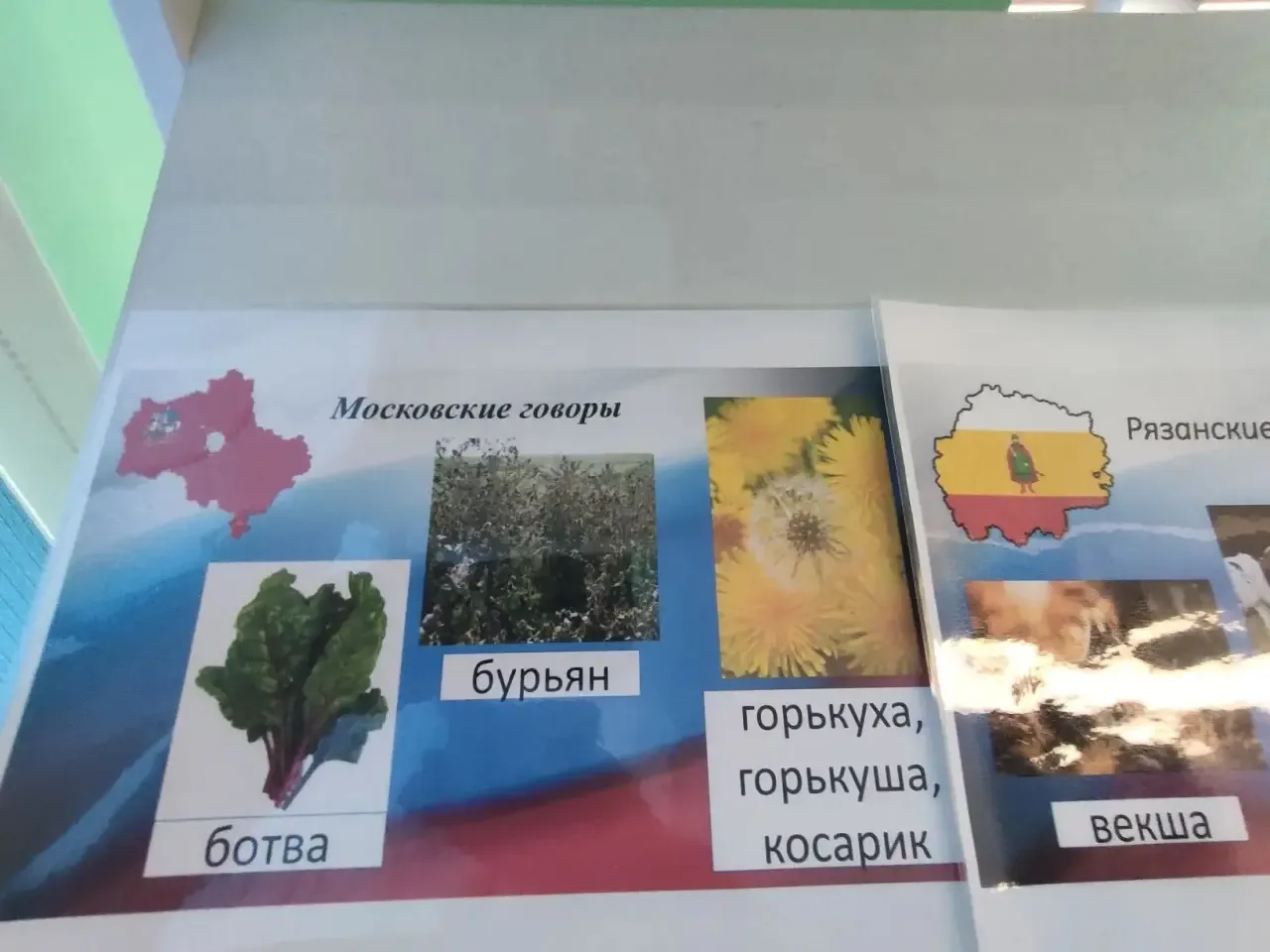 Необычная познавательная выставка "Животные и растения в русских говорах" оформлена в библиотеке с п