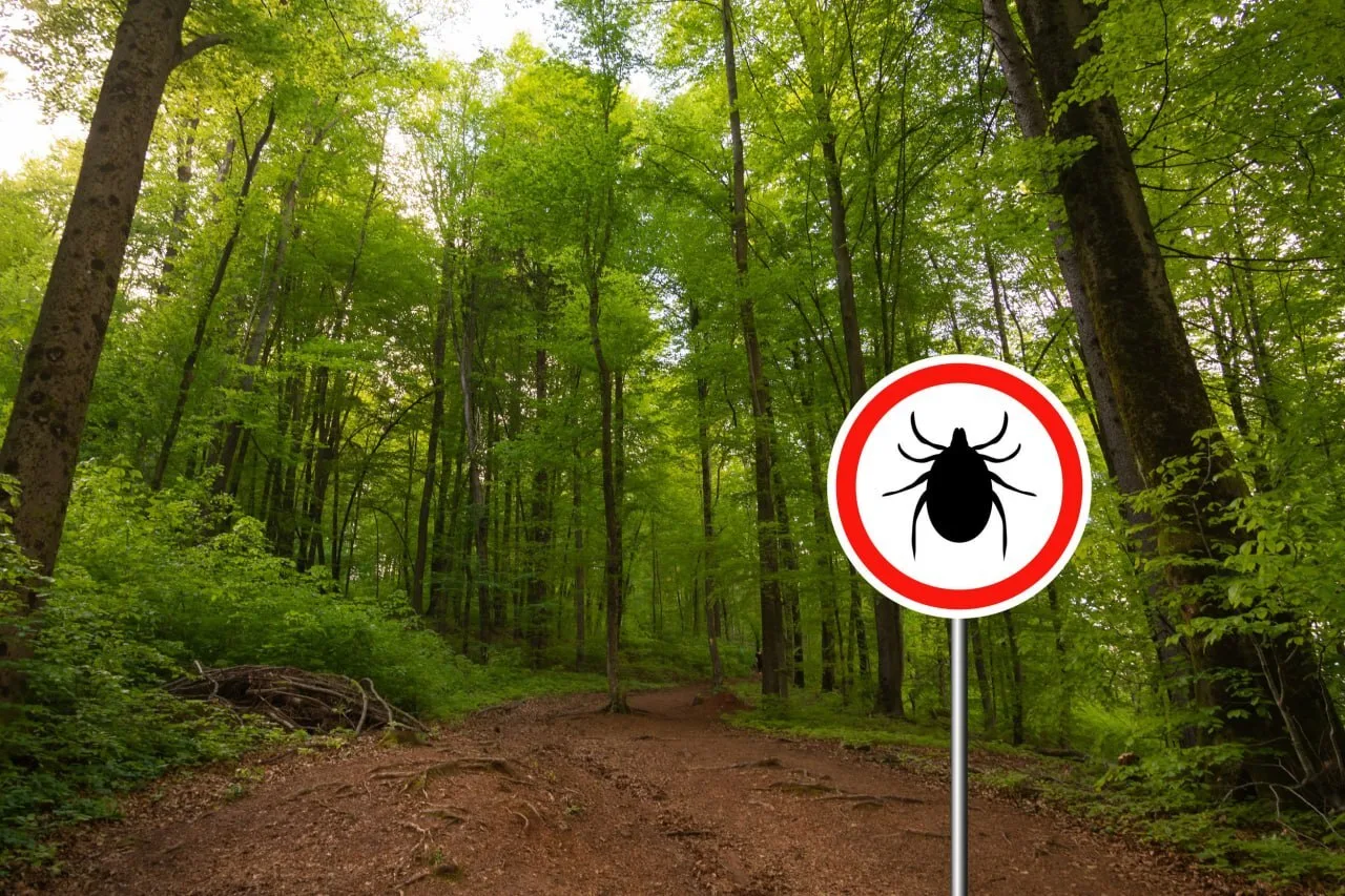 😳 На Ямале зарегистрировано 2 случая заболевания клещевым энцефалитом