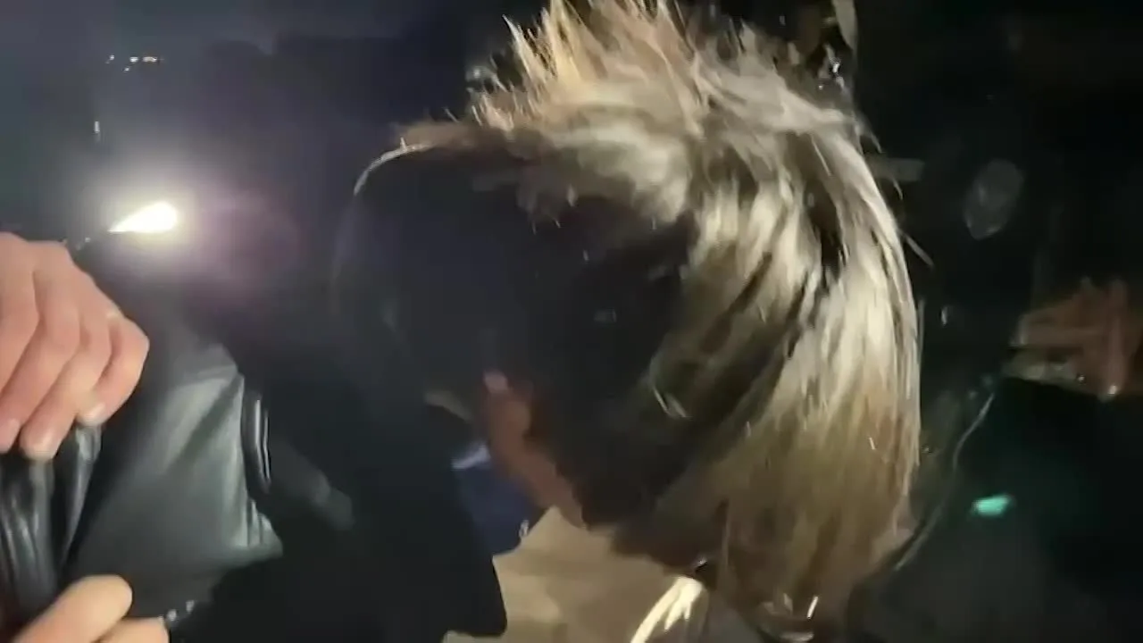 Видео: https://vk.ru/video-198908816_456239664