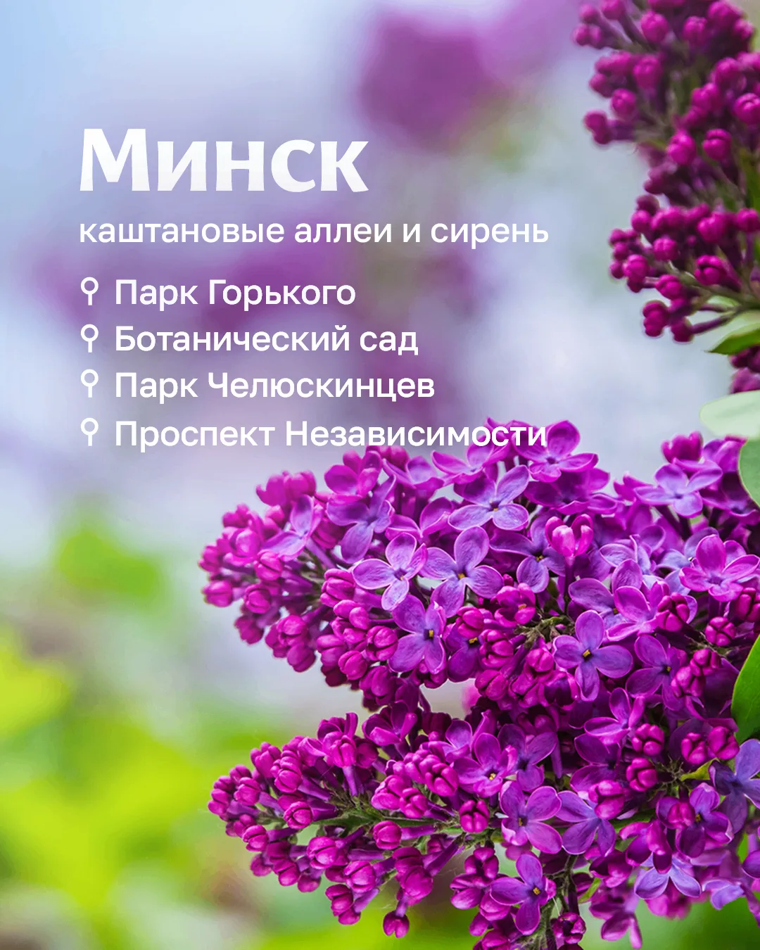Можно оставить всё как есть, а можно — немного переключиться  Поздравляем с 1 Мая! Пусть эти выходны