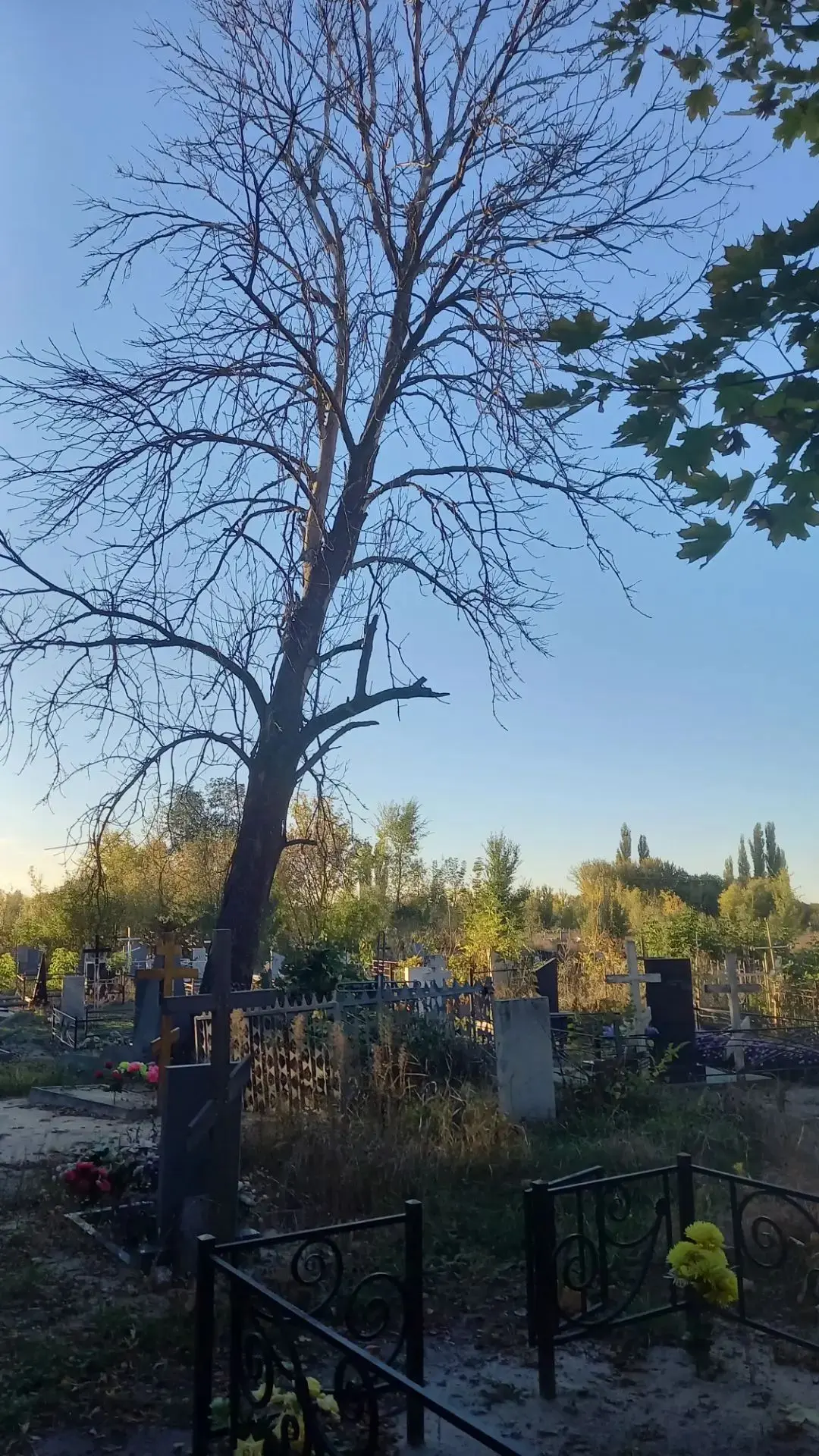В продолжение темы