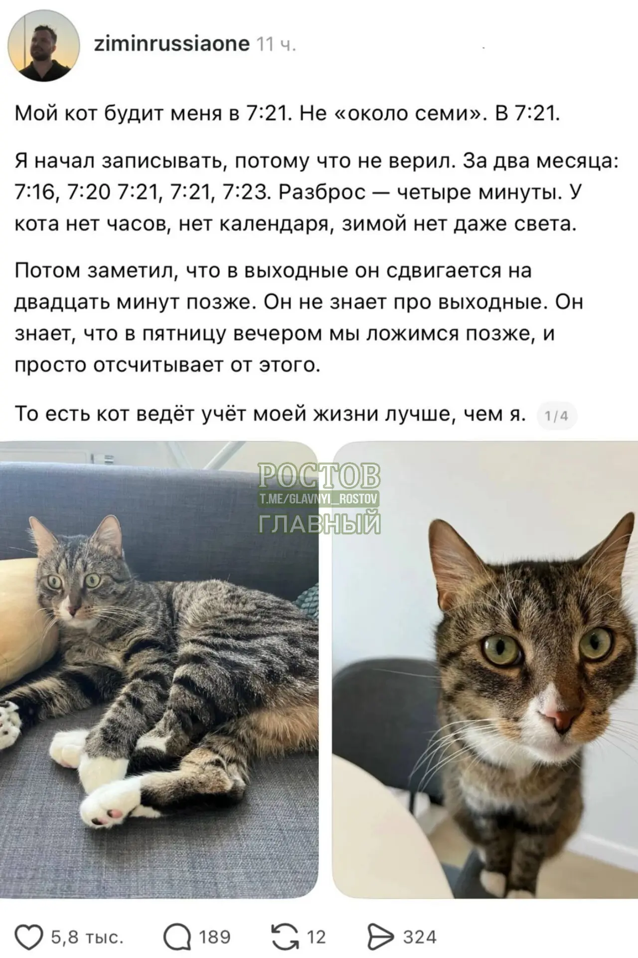 😅 Поздравляем, у вас будильник