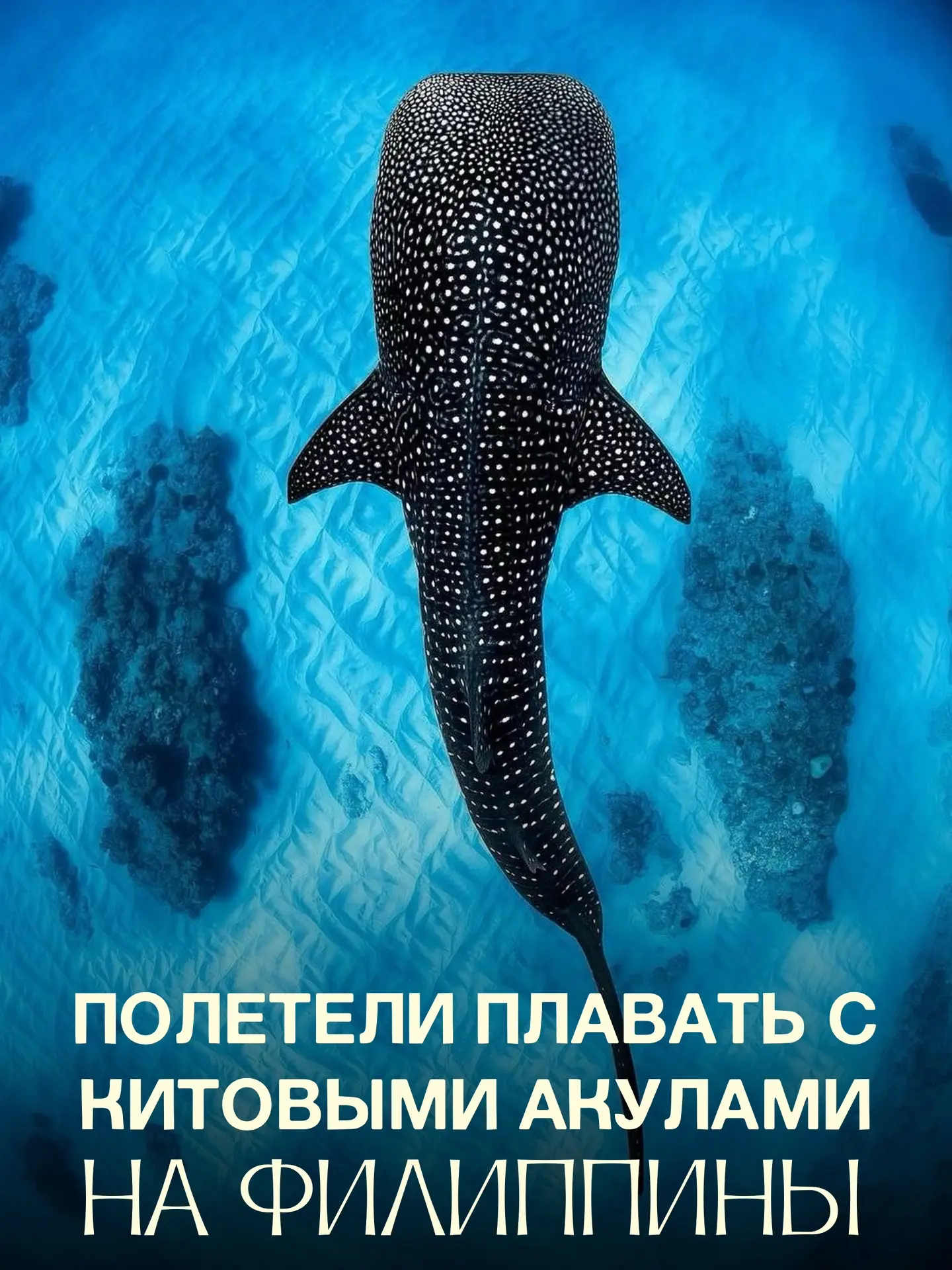🌴✈️Приглашаем в групповой тур: «Филиппинские каникулы»