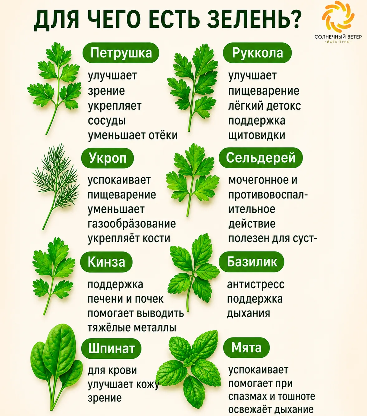 🌿 ТЕЛО НЕ ЛЮБИТ ХАОС. ТЕЛО ЛЮБИТ СИСТЕМУ