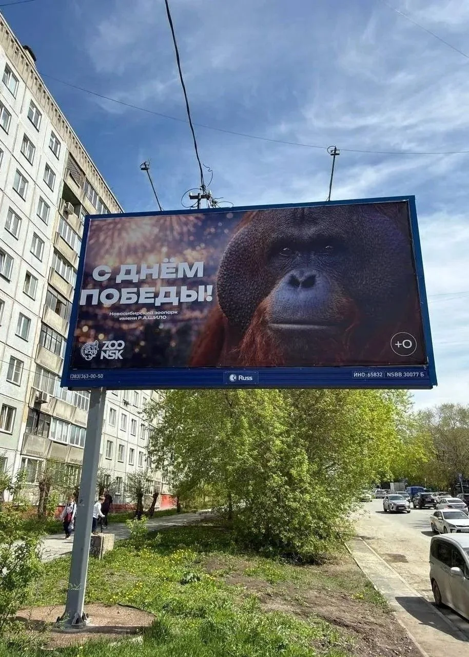 ⚡️В Новосибирске   зоопарк поздравил горожан с Днем Победы, разместив плакат с изображением орангута