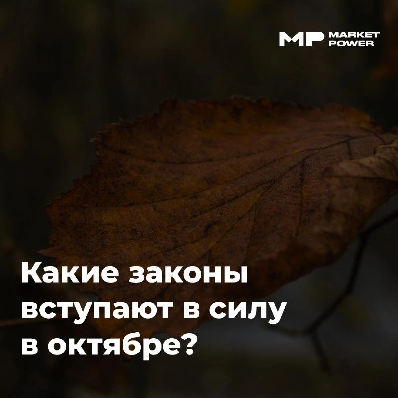 🚀 Что меняется в законах с 1 октября?