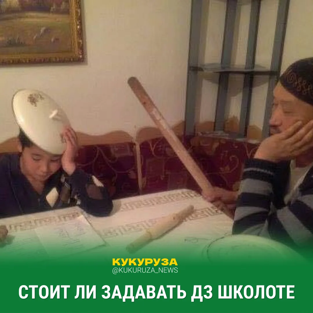 А нужна ли домашка?  👎 — не нужна 👍 — нужна, конечно  Власти не видят цели задавать дз школьникам, п