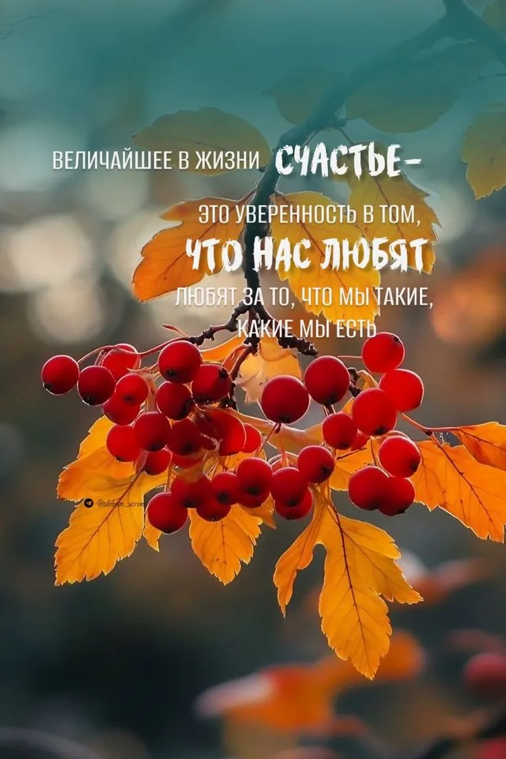 Осень  — это время, когда может быть грустно без причины.🍂🍁🥮