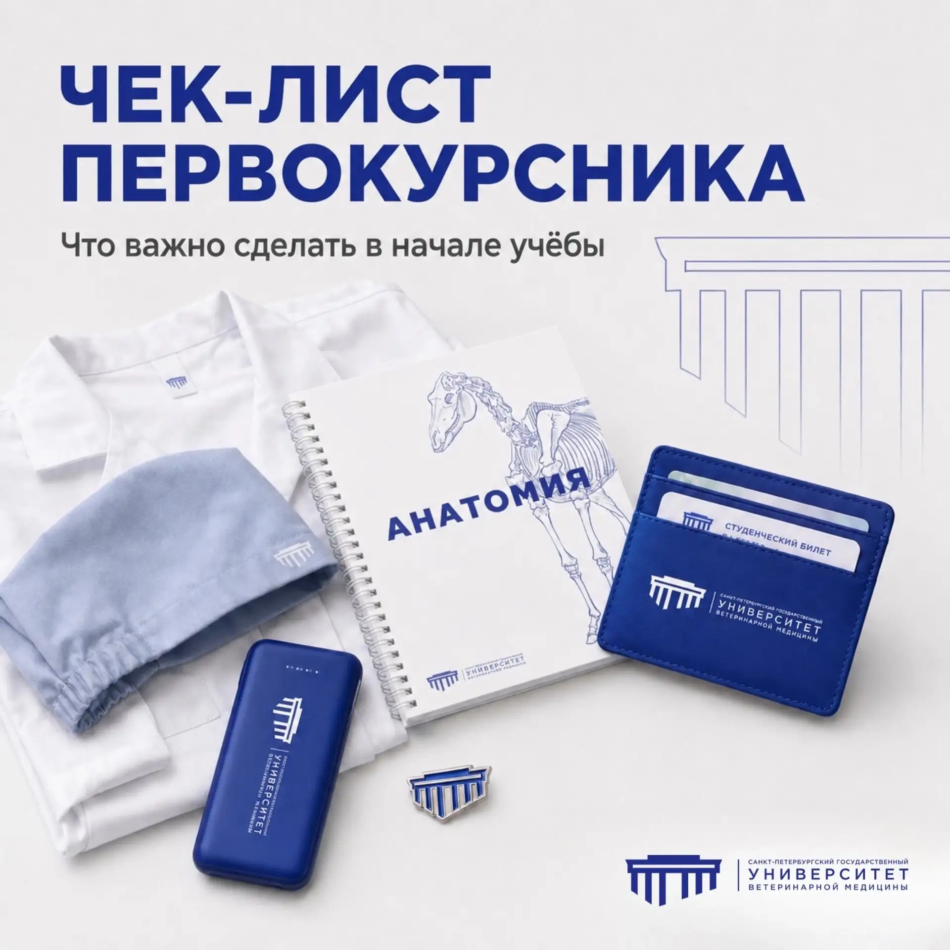 Первокурсники, сохраняйте чек-лист на первые учебные недели 💙