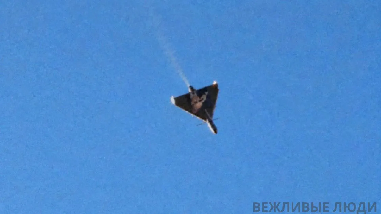 ❗️В Киевской области сегодня засняли Гераньку, к которой был прикреплен огромный портре...