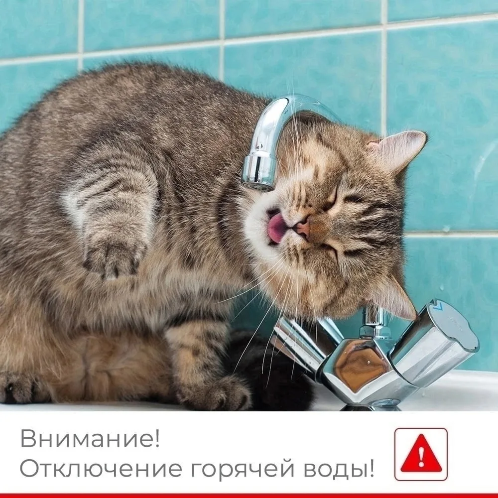 УВАЖАЕМЫЕ ЖИТЕЛИ, ПАО "Т ПЛЮС" СООБЩАЕТ: