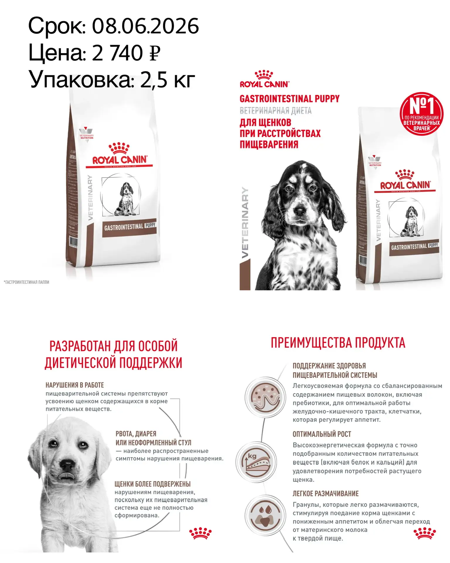 🔥 РАСПРОДАЖА ВЕТЕРИНАРНЫХ ДИЕТ ROYAL CANIN 🔥
