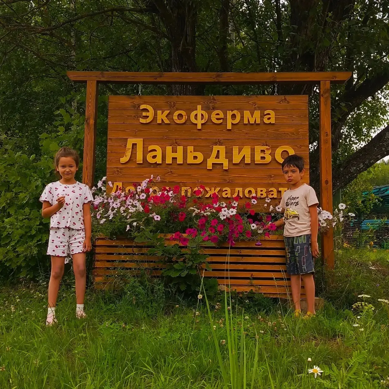 📌#ШкольныеПриветы534 

Сегодня в нашей рубрике — два ярких летних привета. Один — с уютной эко-ферм