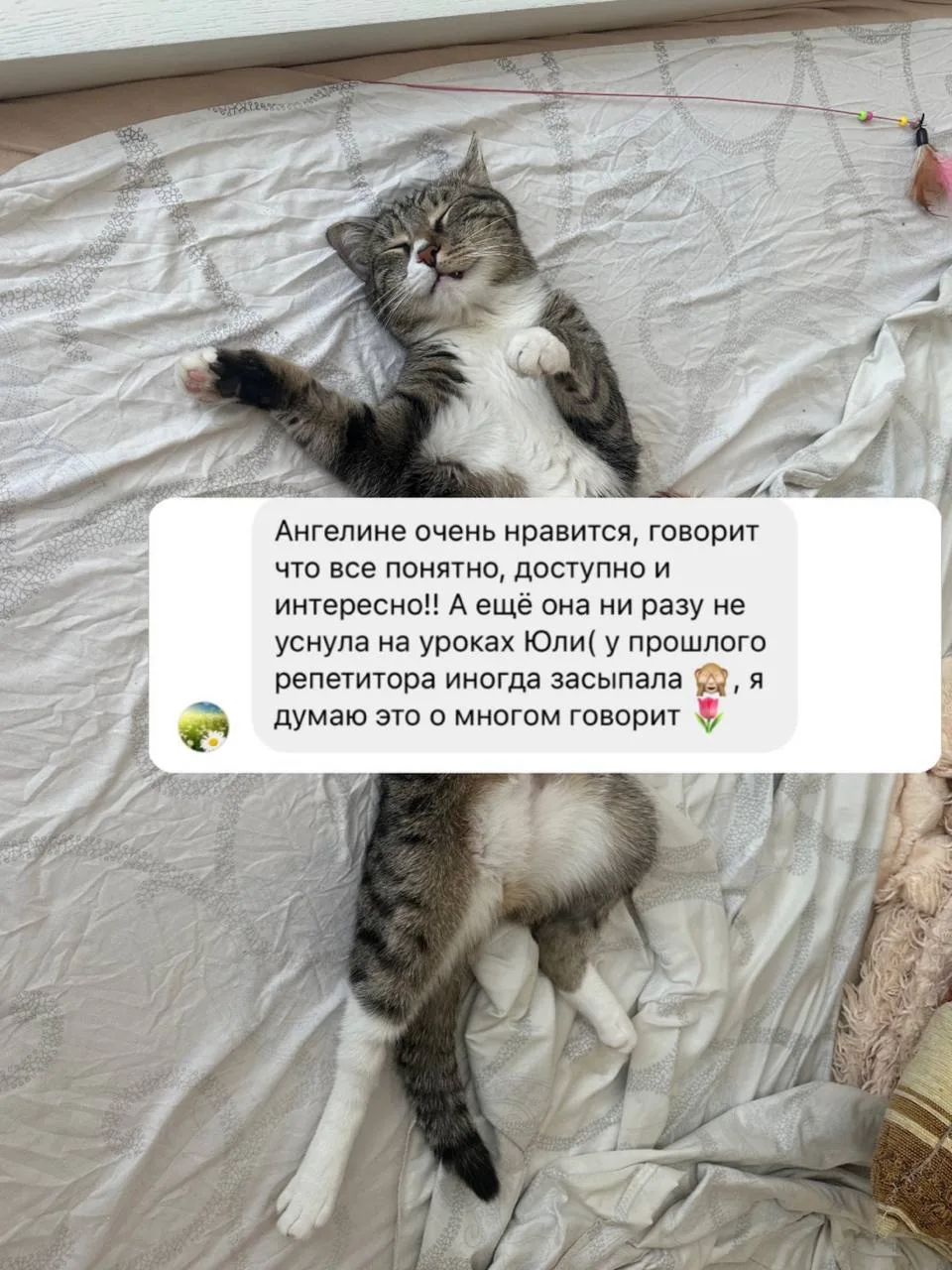 Когда мама ученицы пишет, что не спать на уроках о многом говорит