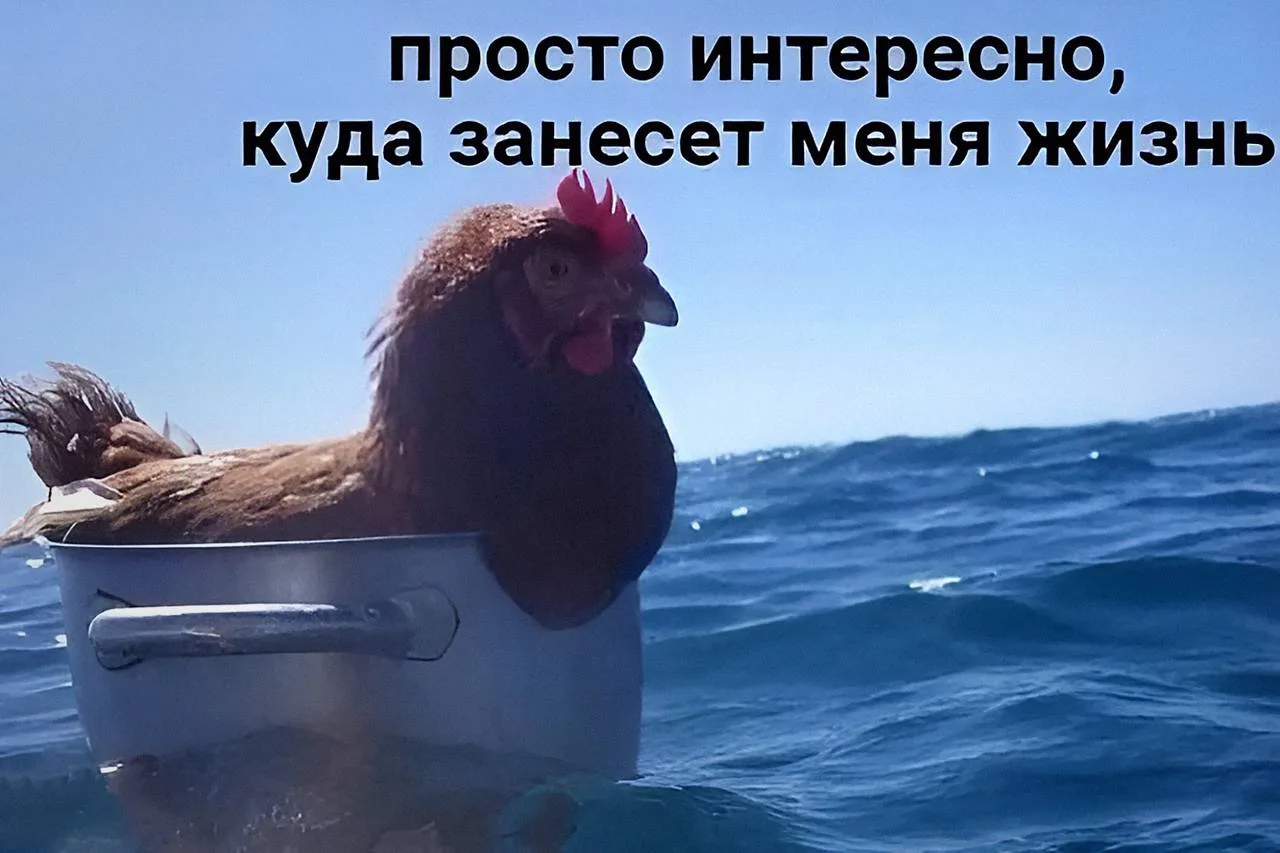 Учёные выяснили: даже короткие поездки способны улучшать качество ЖИЗНИ.