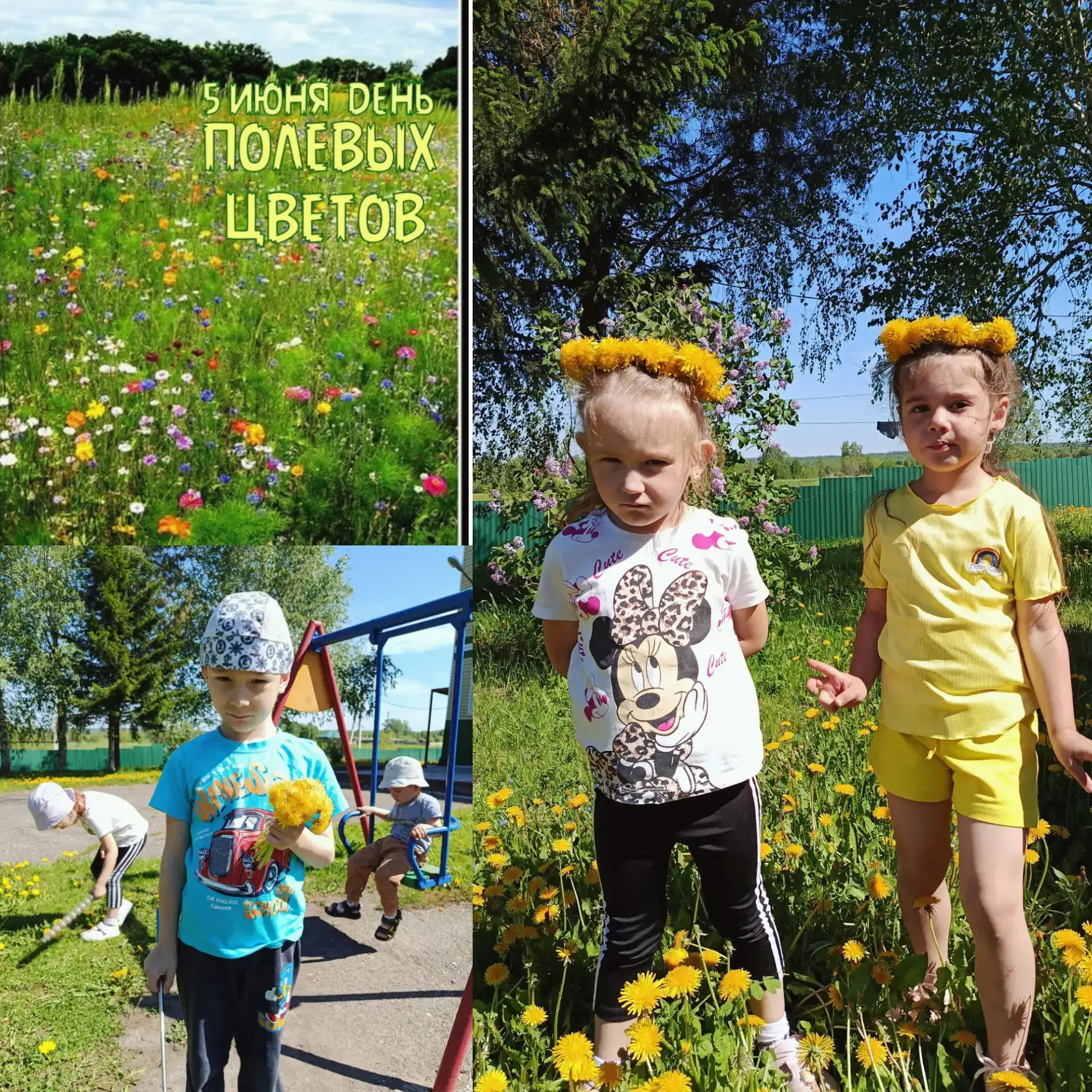 5 июня - День полевых цветов 💐