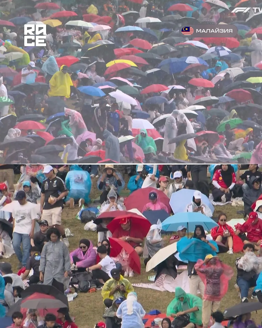 🌧🇲🇾 За 40 минут до старта гонки на Сепанге пошёл ливень!