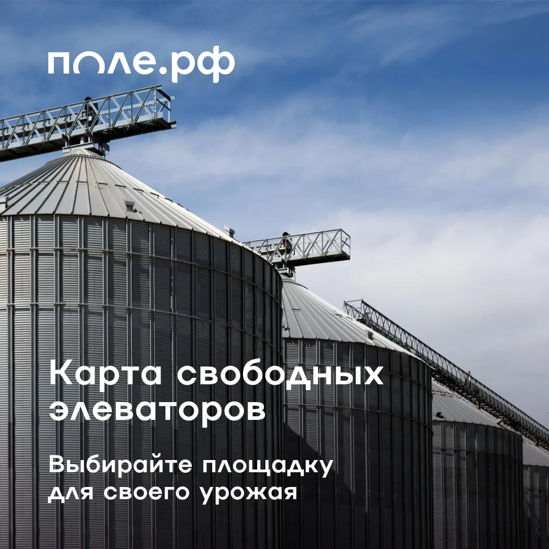 ⚡️ Свободный элеватор теперь проще найти.