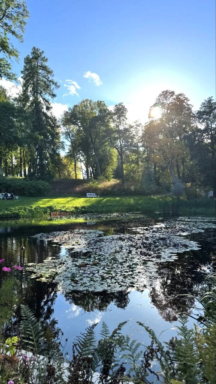 🌳Петергоф