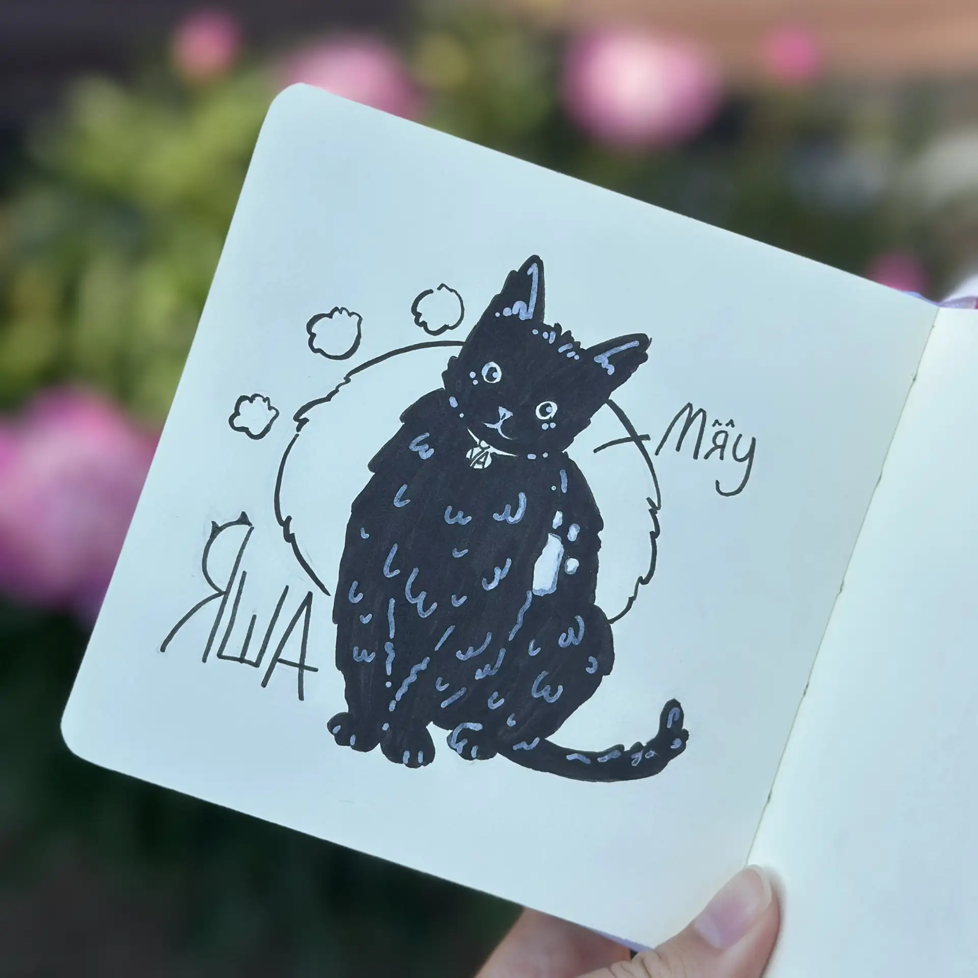 Вот такой котей вышел 🐾
